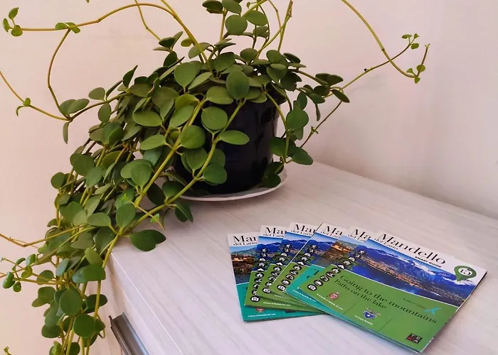 La Casina Al Apartamento